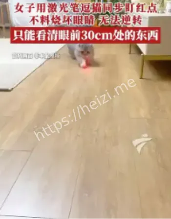 激光笔逗猫致眼伤案例