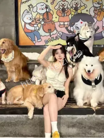 张秋涵不雅视频曝光